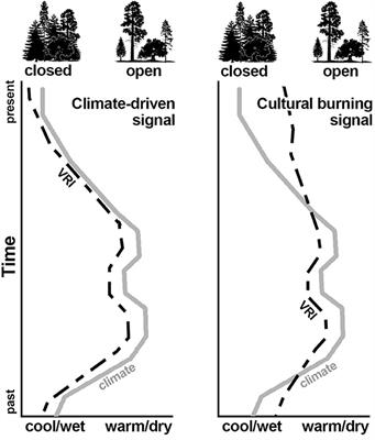 Potential of paleoecology and paleolandscape modeling to identify pre-Colonial cultural burning in montane forests: case studies in California